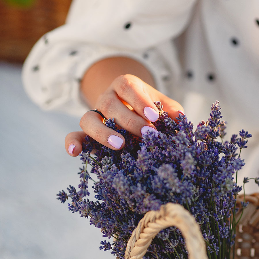 LAVENDER NAIL BAR (PLANO)